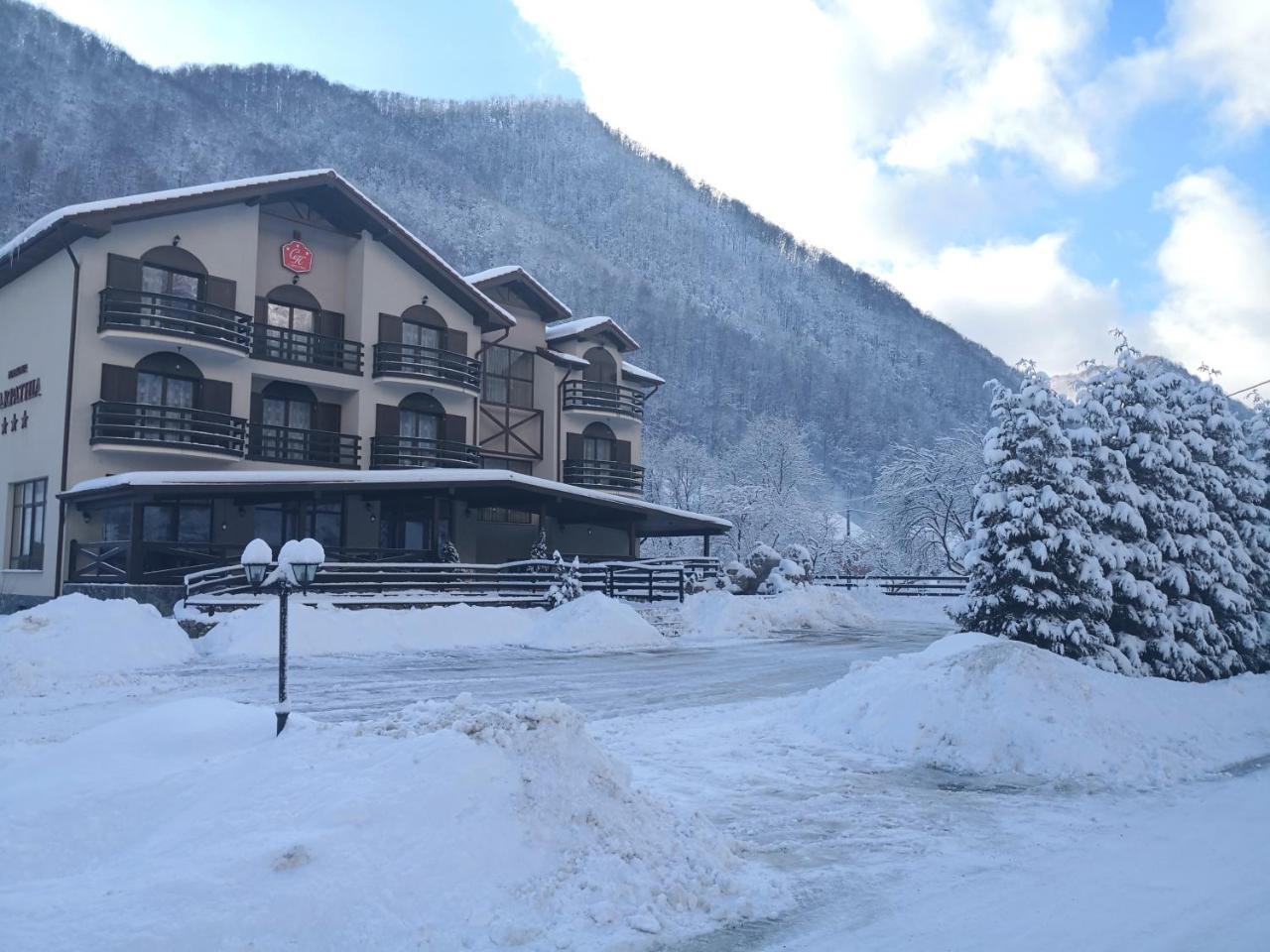 Hotel Carpathia Remeţi Exterior foto